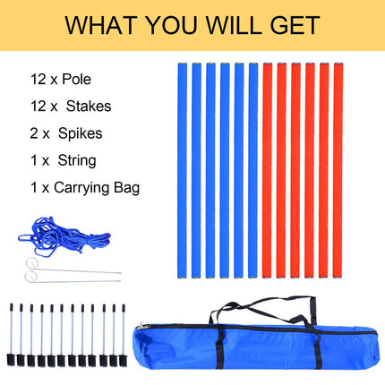 Pet Agility Training Run and Jump Set - Blue & Red