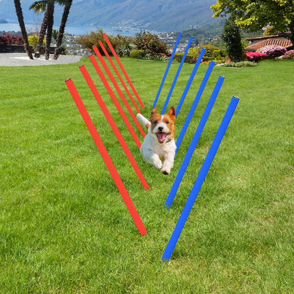 Pet Agility Training Run and Jump Set - Blue & Red