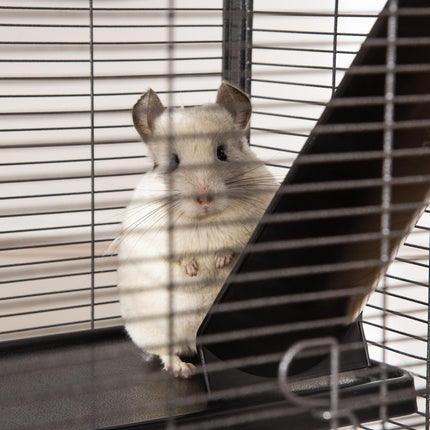 Small Animal Cage with Wheels, 4 Platforms, Hammock & Removable Tray for Chinchillas, Ferrets, Kittens - Silver/Grey
