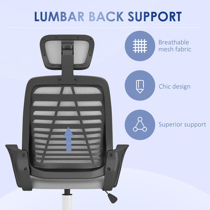 Ergonomic Mesh Office Chair with Adjustable Headrest and Lumbar Support - Grey