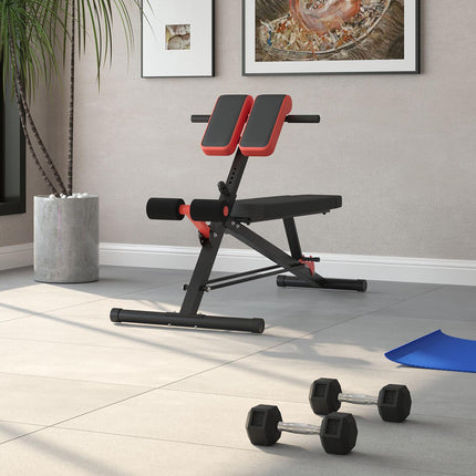 Multifunction Adjustable Weight Bench with 2 Dumbbells and Hyper Extension Sit-up - Black and Red