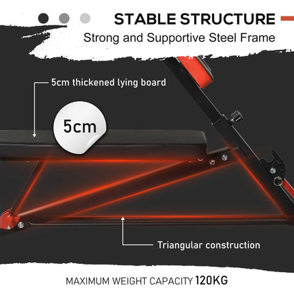 Multifunction Adjustable Weight Bench with 2 Dumbbells and Hyper Extension Sit-up - Black and Red