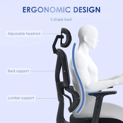 Height Adjustable Mesh Office Chair with Lumbar Support, Swivel Wheels & Adjustable Headrest - Black