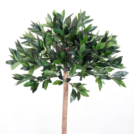 Set of 2 Artificial Laurel Trees with Orange Pots - Green and Orange