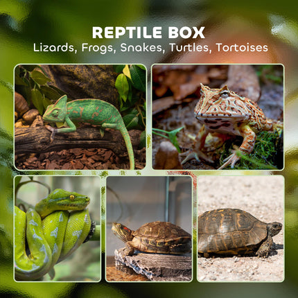 40L Vivarium for Lizards, Frogs, Snakes, Turtles, Tortoises with Anti-Escape Ventilation - Black
