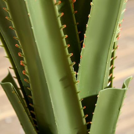 Set of 2 Artificial Agave Succulent Plants in Cement Pots - Green