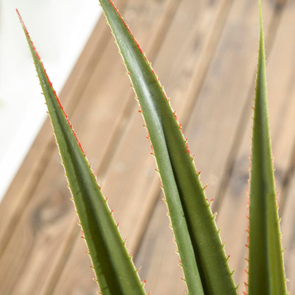 Set of 2 Artificial Agave Succulent Plants in Cement Pots - Green