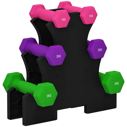 6 Piece Hexagonal Dumbbell Set with Rack - Pink Purple Green