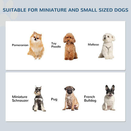 Raised Stainless Steel Dog Feeding Bowls with Stand for Extra Small and Small Dogs - Grey