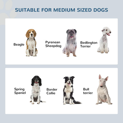 Raised Stainless Steel Dog Feeding Bowls with Stand for Small and Medium Dogs 58L x 31W x 25H cm - Grey