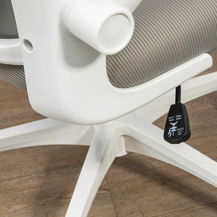 Multi-Adjustable Office Chair with Lumbar Support, Headrest & Mesh Back - Grey