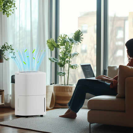20L/Day Home Dehumidifier with 5L Tank, Continuous Drainage, 24H Timer & Digital Humidity Display - White