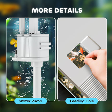14L Glass Fish Tank with Filter, LED Lights & Water Pump - White
