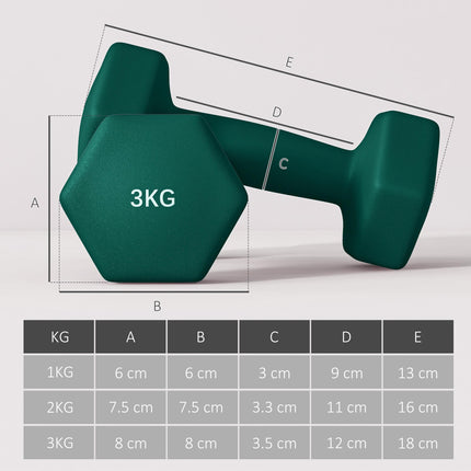 Set of 6 Hexagonal Dumbbells 1kg-3kg with Storage Rack - Grey Green Turquoise