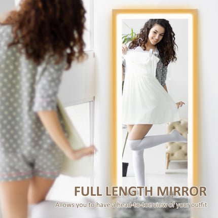 Full Length Mirror with Adjustable LED Outer Light - Oak