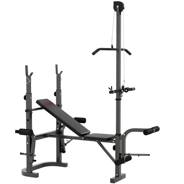 Adjustable Weight Bench with Bench Press Rack, Preacher Curl, Leg Extension & Lat Pull Down - Black