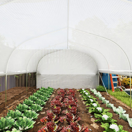 6 x 3m Walk-In Polytunnel Greenhouse Set with PE Cover and Mesh Door - White