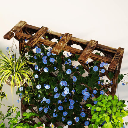 Wooden Raised Garden Bed with Trellis and Liner - Carbonised