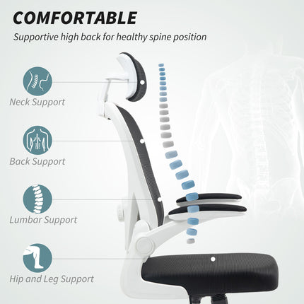 Ergonomic Executive Mesh High Back Office Chair with Flip-up Armrest, Adjustable Lumbar & Rotatable Headrest - Black