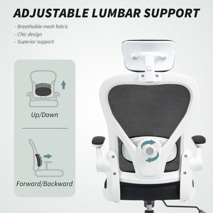 Ergonomic Executive Mesh High Back Office Chair with Flip-up Armrest, Adjustable Lumbar & Rotatable Headrest - Black