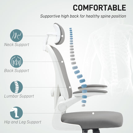 Ergonomic Executive Office Chair with Mesh High Back, Adjustable Lumbar & Headrest, Flip-up Armrests - Grey