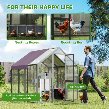 Large Walk-In Chicken Run for 6-8 Chickens with Waterproof UV Cover 5.5' x 6' x 6' - Purple/Grey