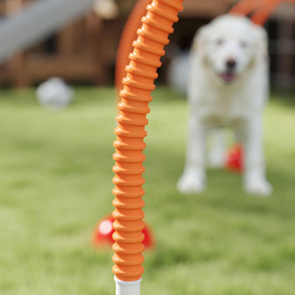 4 Piece Adjustable Dog Agility Training Equipment with Carry Bag - Orange