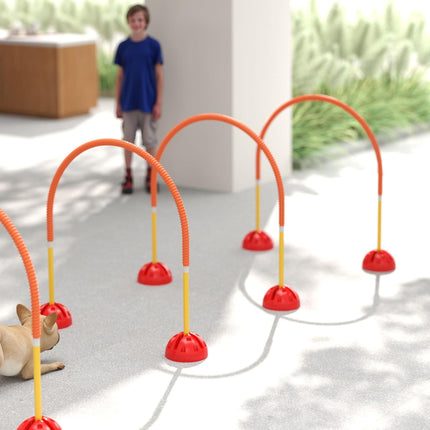 4 Piece Adjustable Dog Agility Training Equipment with Carry Bag - Orange