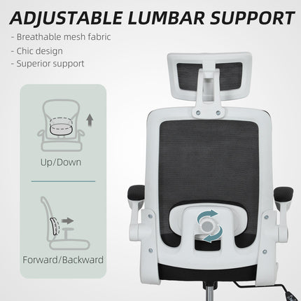 Multi-Adjust Ergonomic Office Chair with Headrest and Lumbar Support - Black