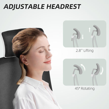Multi-Adjust Ergonomic Office Chair with Headrest and Lumbar Support - Black