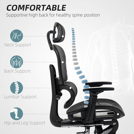 Multi-Adjustable Ergonomic Mesh Office Chair with Footrest - Black