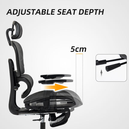 Multi-Adjustable Ergonomic Mesh Office Chair with Footrest - Black