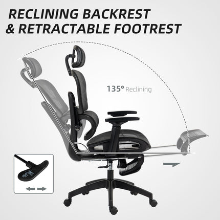 Multi-Adjustable Ergonomic Mesh Office Chair with Footrest - Black