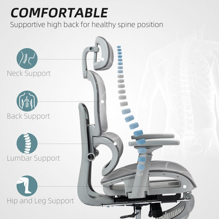 Multi-Adjustable Ergonomic Mesh Office Chair with Reclining and Footrest - Grey