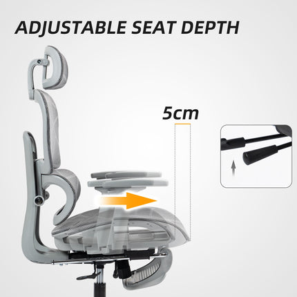 Multi-Adjustable Ergonomic Mesh Office Chair with Reclining and Footrest - Grey