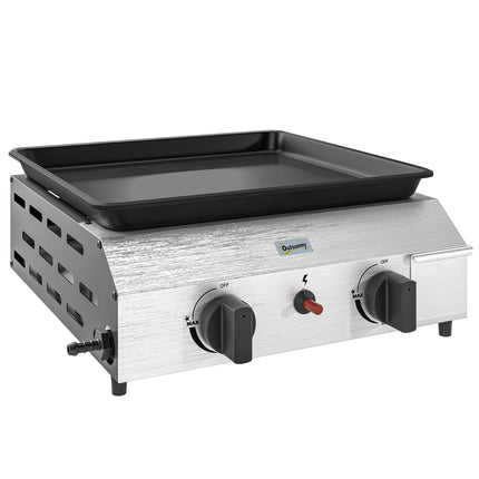 Two Burner Portable Gas Grill with Adjustable Burners and Grease Tray - Black