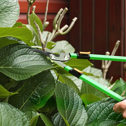 2 Pcs Garden Shears Set, Tree Lopper, Hedge Shears with Telescopic Extendable Ha