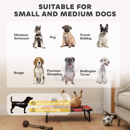 Portable Raised Dog Bed, Elevated Pet Cot with Breathable Mesh for Indoor Outdoor, for Small Medium Dogs, Red