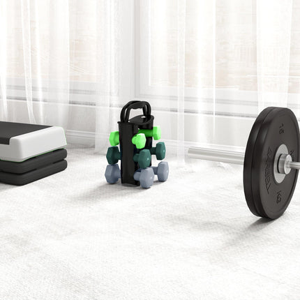 Dumbbells Set with Storage Rack, 2 x 1kg, 2 x 2kg, 2 x 3kg, Green
