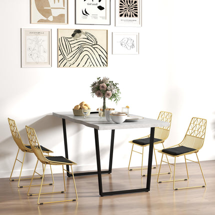 Luxurious Dining Chairs Set of 4, Metal Wire Kitchen Chair with Removable Velvet