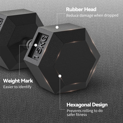 2x15KG Rubber Hex Dumbbell Portable Hand Weights Dumbbell Home Gym
