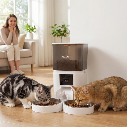 Automatic Cat Feeder for 2 Cats with HD Camera，2.4G & 5G WiFi Pet Food Dispenser 6L APP Control