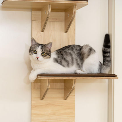 4-Level Door Mounted Cat Tree with Washable Plush Mats, Toy Balls, Door Hanging Cat Shelf for Indoor Cats