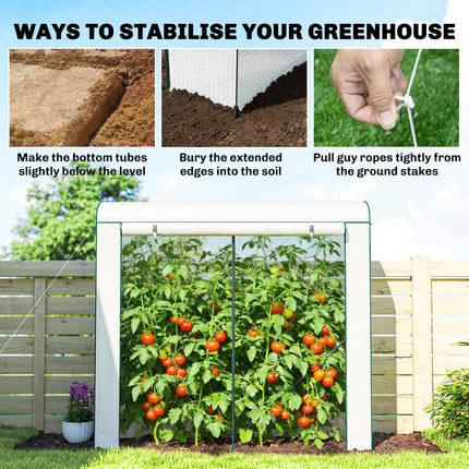 Mini Greenhouse, Garden Tomato Growhouse with Roll-Up Door and 2 Mesh Windows, PE Cover, 200 x 75 x 188 cm, White