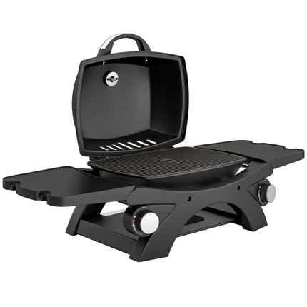 2 Burner Gas Grill with 2 Detachable Side Tables, 3.8 KW Steel Barbecue Grill with Cast Iron Grates, Lid, Thermometer