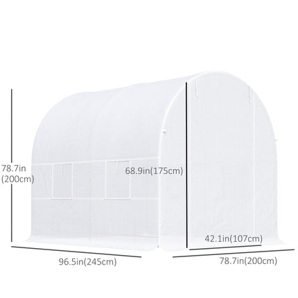 Large Walk-In Garden Greenhouse with Galvanized Steel Frame and UV Protection PE Cover - White