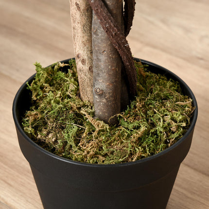 160cm Artificial Ficus Silk Tree with Cement Nursery Pot - Green