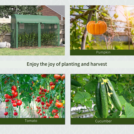 Tomato Growth Greenhouse with Double Doors & 4 Windows, Steel Frame, PE Cover 3L x 1W x 2H m - Green