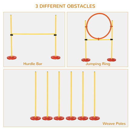 Dogs 3-Course Plastic Agility Set with Carry Bag - Yellow
