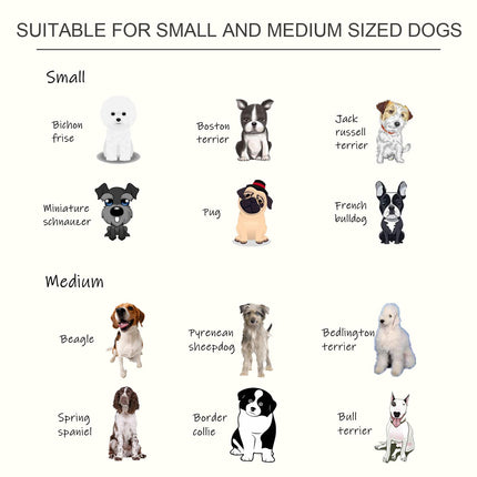 Stainless Steel Elevated Pet Feeder 58.4x30.5x25.4 cm - White